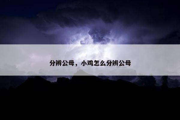 分辨公母，小鸡怎么分辨公母
