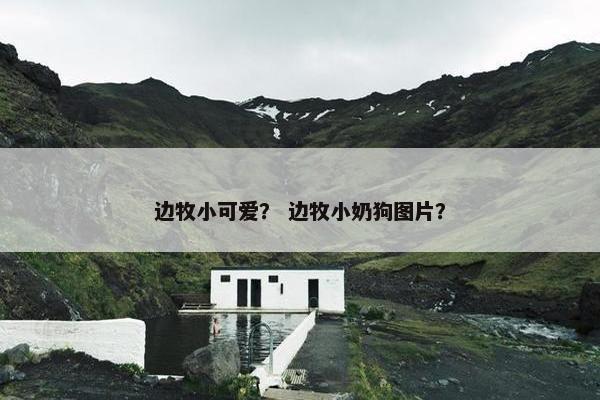 边牧小可爱？ 边牧小奶狗图片？