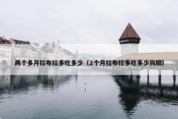 两个多月拉布拉多吃多少（2个月拉布拉多吃多少狗粮）