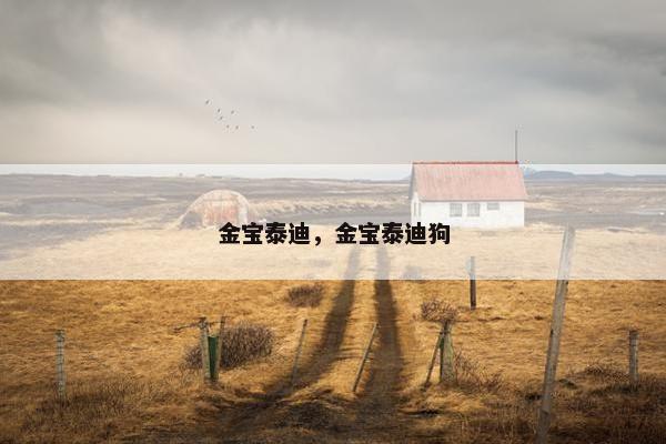 金宝泰迪，金宝泰迪狗