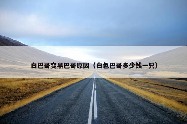 白巴哥变黑巴哥原因（白色巴哥多少钱一只）