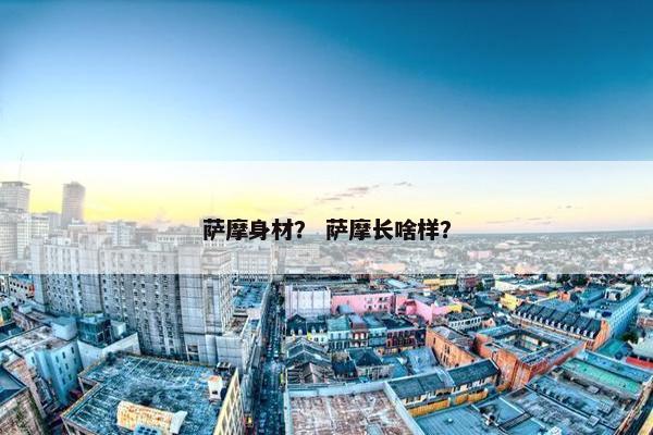 萨摩身材？ 萨摩长啥样？
