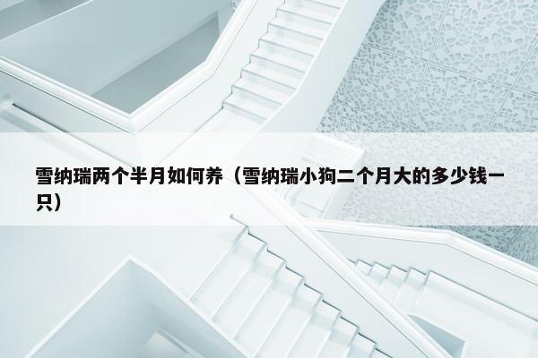雪纳瑞两个半月如何养（雪纳瑞小狗二个月大的多少钱一只）