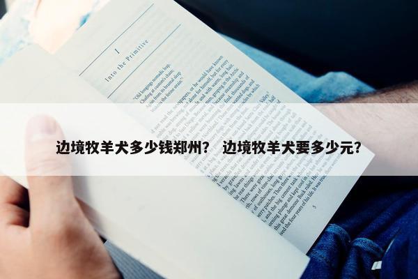 边境牧羊犬多少钱郑州？ 边境牧羊犬要多少元？