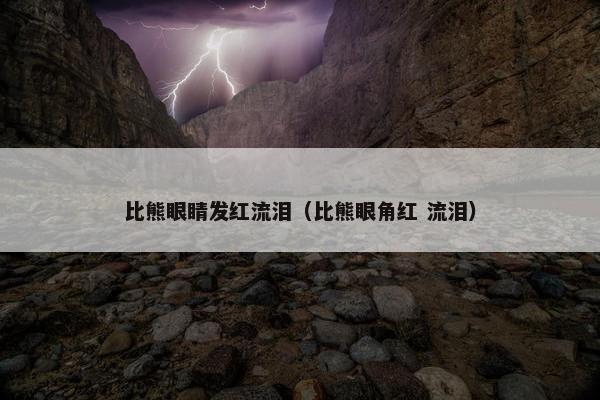 比熊眼睛发红流泪（比熊眼角红 流泪）