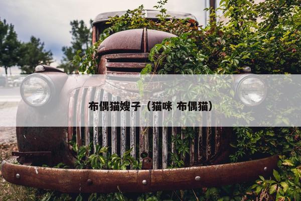 布偶猫嫂子（猫咪 布偶猫）