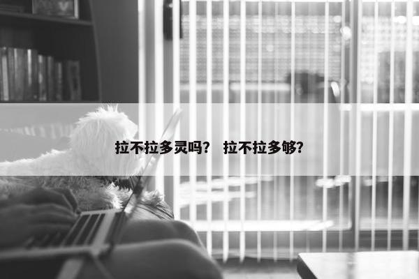 拉不拉多灵吗？ 拉不拉多够？
