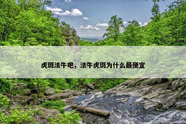 虎斑法牛吧，法牛虎斑为什么最便宜