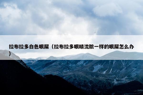 拉布拉多白色眼屎（拉布拉多眼睛流脓一样的眼屎怎么办）
