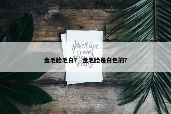 金毛脸毛白？ 金毛脸是白色的？