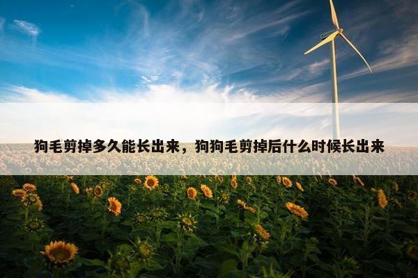 狗毛剪掉多久能长出来，狗狗毛剪掉后什么时候长出来