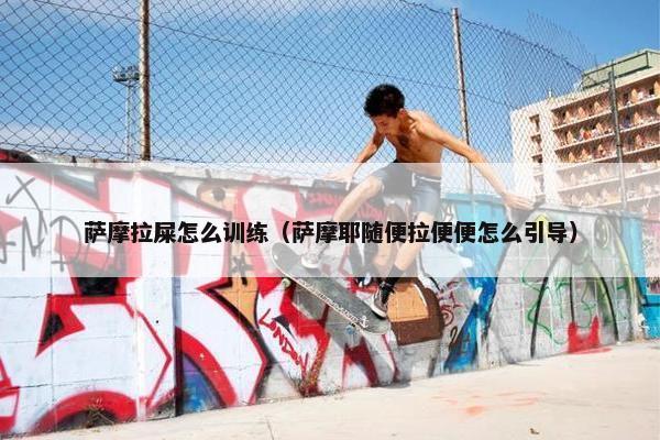 萨摩拉屎怎么训练（萨摩耶随便拉便便怎么引导）