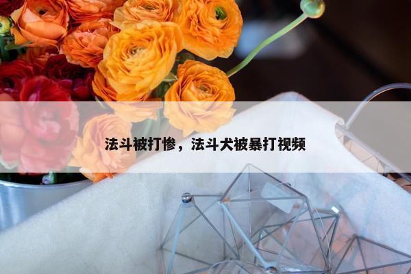 法斗被打惨，法斗犬被暴打视频