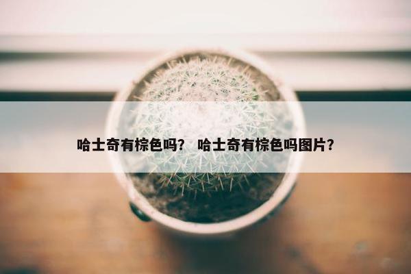 哈士奇有棕色吗？ 哈士奇有棕色吗图片？