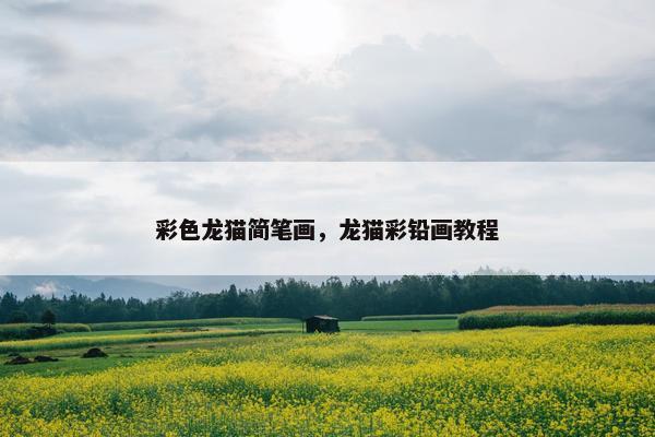彩色龙猫简笔画，龙猫彩铅画教程