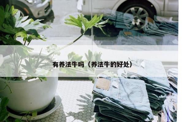 有养法牛吗（养法牛的好处）