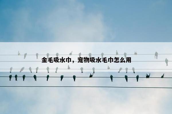 金毛吸水巾，宠物吸水毛巾怎么用