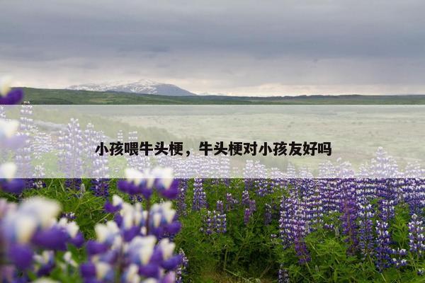 小孩喂牛头梗，牛头梗对小孩友好吗