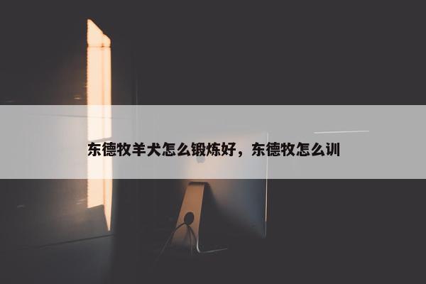 东德牧羊犬怎么锻炼好，东德牧怎么训
