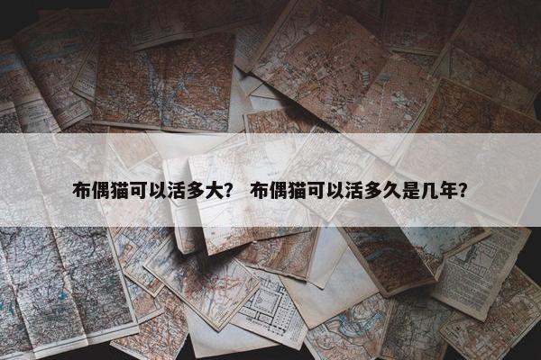 布偶猫可以活多大？ 布偶猫可以活多久是几年？
