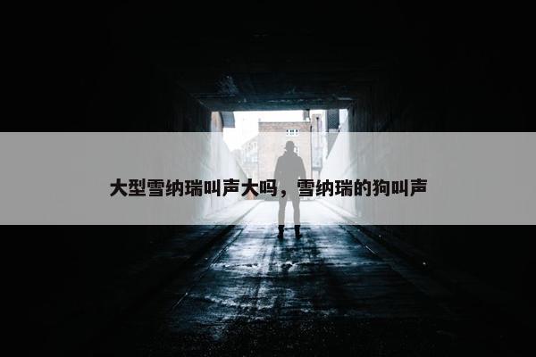 大型雪纳瑞叫声大吗，雪纳瑞的狗叫声