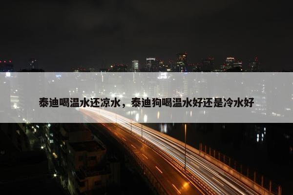 泰迪喝温水还凉水，泰迪狗喝温水好还是冷水好