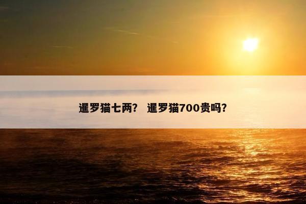 暹罗猫七两？ 暹罗猫700贵吗？