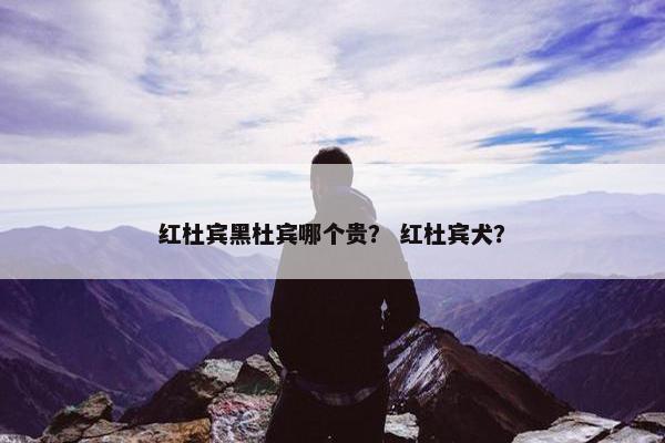 红杜宾黑杜宾哪个贵？ 红杜宾犬？