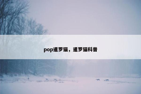 pop暹罗猫，暹罗猫科普