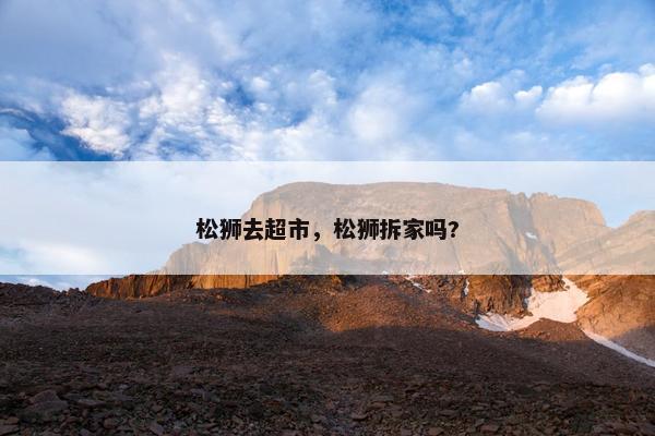 松狮去超市，松狮拆家吗?