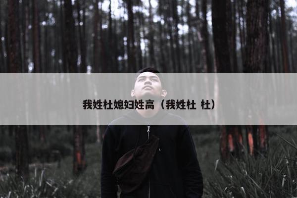 我姓杜媳妇姓高（我姓杜 杜）