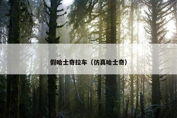 假哈士奇拉车（仿真哈士奇）