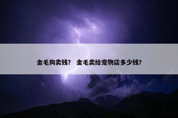 金毛狗卖钱？ 金毛卖给宠物店多少钱？