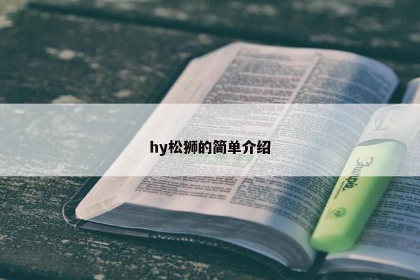 hy松狮的简单介绍