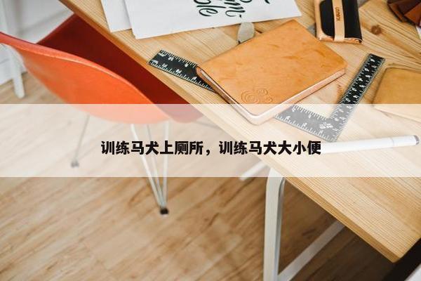 训练马犬上厕所，训练马犬大小便