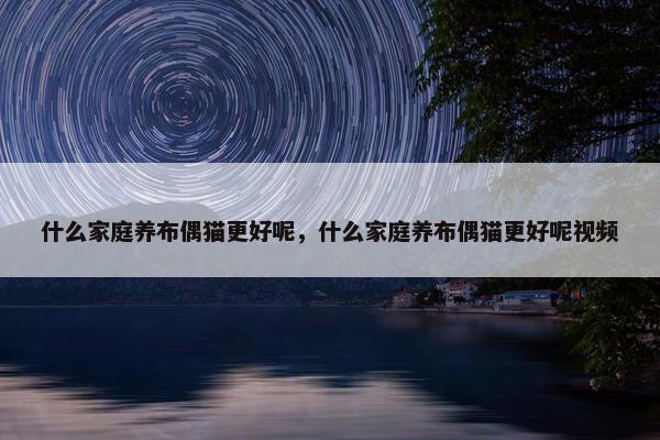 什么家庭养布偶猫更好呢，什么家庭养布偶猫更好呢视频