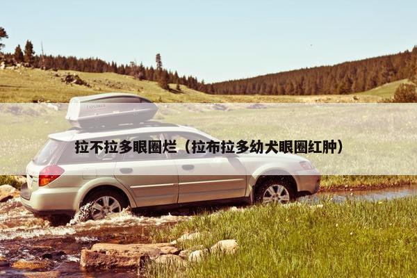 拉不拉多眼圈烂（拉布拉多幼犬眼圈红肿）