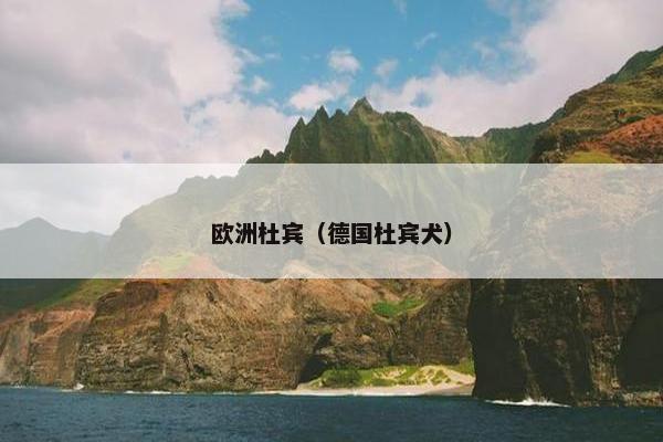 欧洲杜宾（德国杜宾犬）
