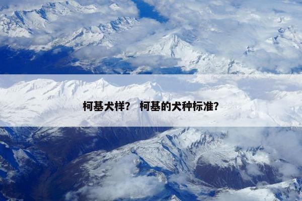 柯基犬样？ 柯基的犬种标准？
