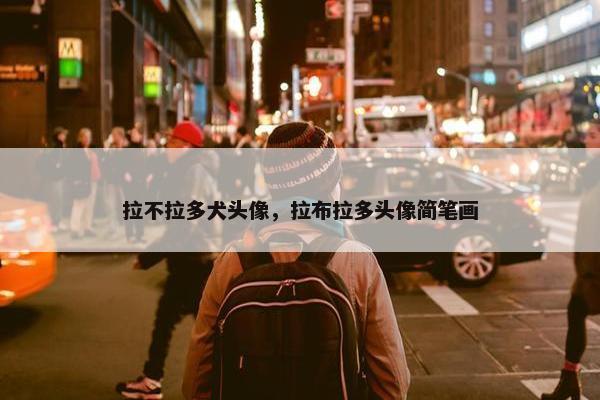 拉不拉多犬头像，拉布拉多头像简笔画