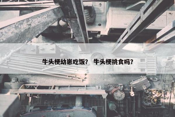 牛头梗幼崽吃饭？ 牛头梗挑食吗？
