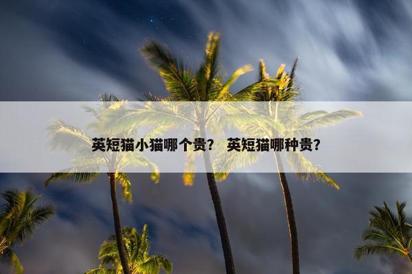 英短猫小猫哪个贵？ 英短猫哪种贵？