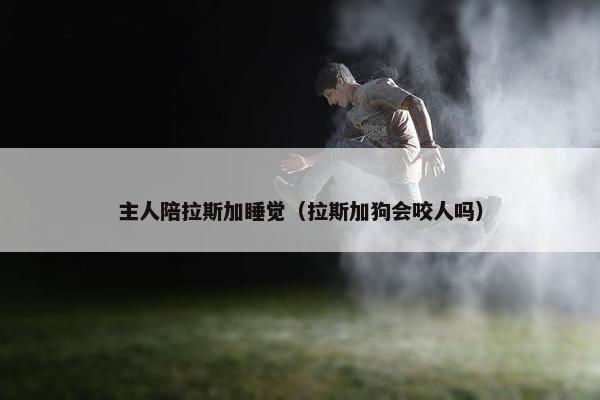 主人陪拉斯加睡觉（拉斯加狗会咬人吗）