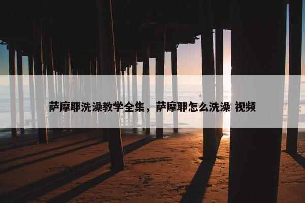 萨摩耶洗澡教学全集，萨摩耶怎么洗澡 视频