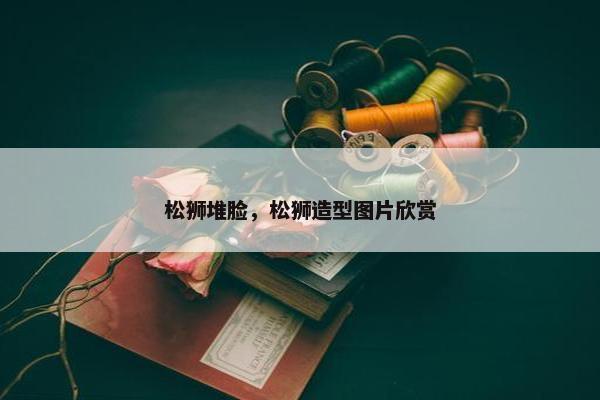 松狮堆脸，松狮造型图片欣赏