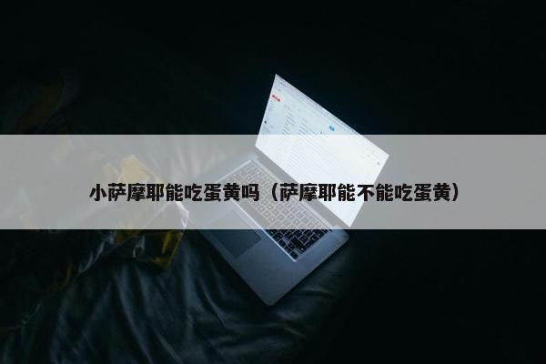 小萨摩耶能吃蛋黄吗（萨摩耶能不能吃蛋黄）