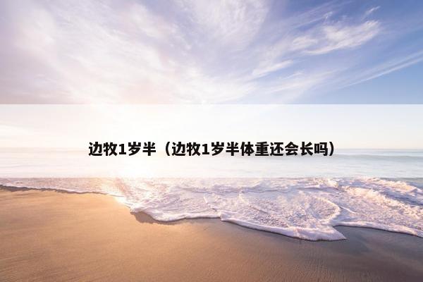 边牧1岁半（边牧1岁半体重还会长吗）