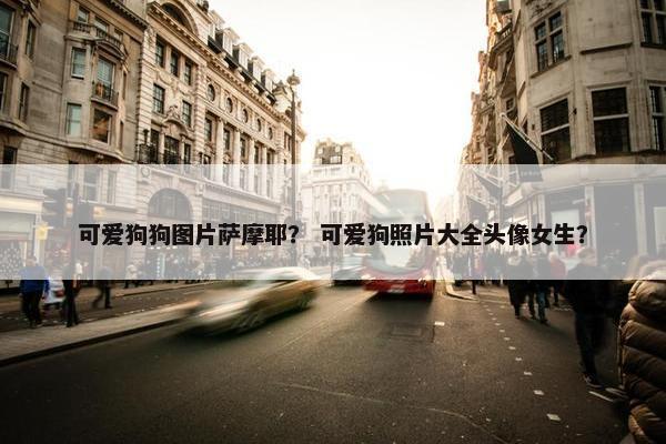 可爱狗狗图片萨摩耶？ 可爱狗照片大全头像女生？