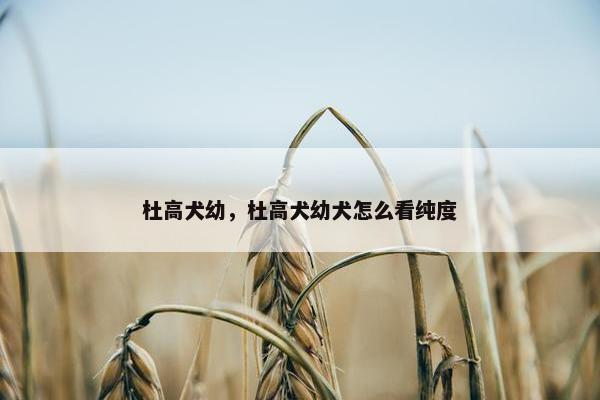 杜高犬幼，杜高犬幼犬怎么看纯度