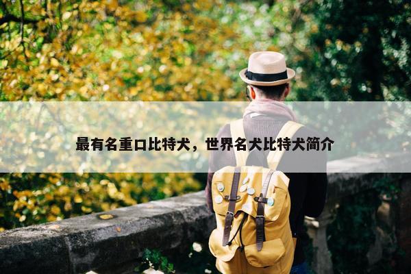 最有名重口比特犬，世界名犬比特犬简介